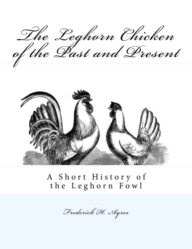 The Leghorn Chicken of the Past and Present A Short History of the Leghorn Fowl
