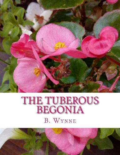 The Tuberous Begonia Its History and Cultivation