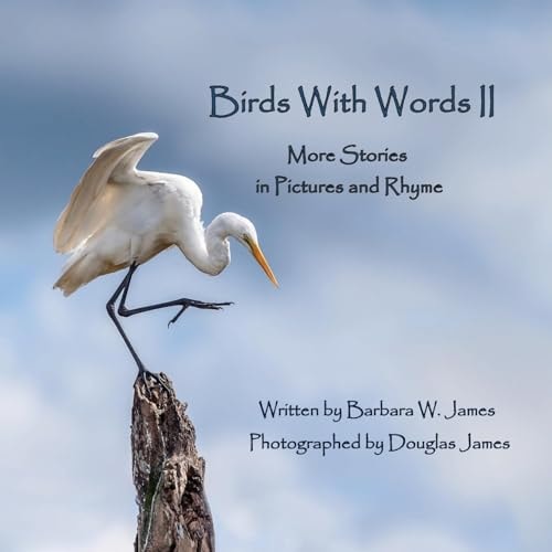 Birds With Words II More Stories in Pictures and Rhyme