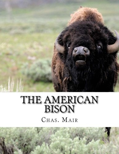 The American Bison Its Habits, Method of Capture and Economic Use In The North West