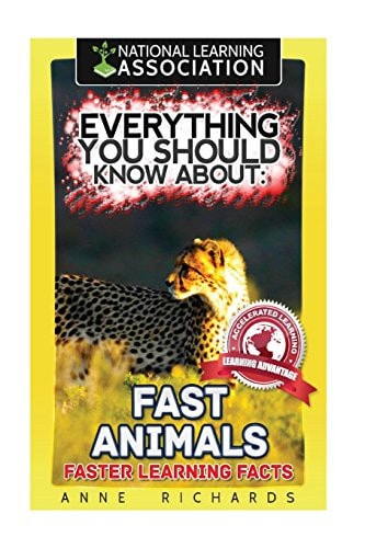 Everything You Should Know About Fast Animals