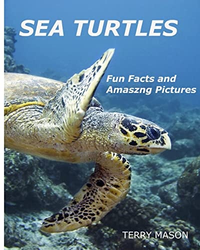 Sea Turtles : Fun Facts and Amazing Pictures