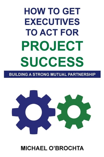 How To Get Executives To Act For Project Success Building A Strong Mutual Partnership