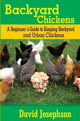 Backyard Chickens A Beginner's Guide to Keeping Backyard and Urban Chickens