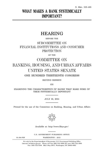 What Makes a Bank Systemically Important?