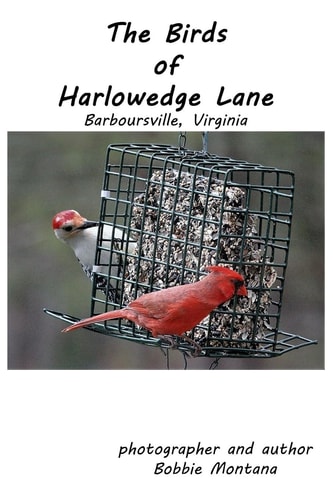 The Birds of Harlowedge Lane Barboursville, Virginia