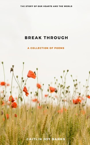 Break Through A Story of Our Hearts and the World.