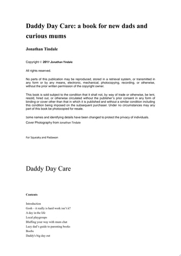 Daddy Day Care A book for new dads and curious mums