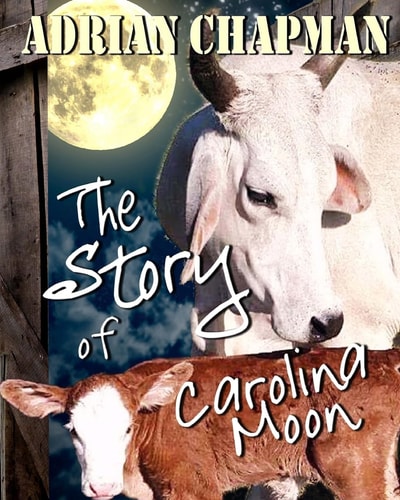 The Story of Carolina Moon