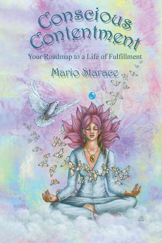 Conscious Contentment Your Roadmap to a Life of Fulfillment