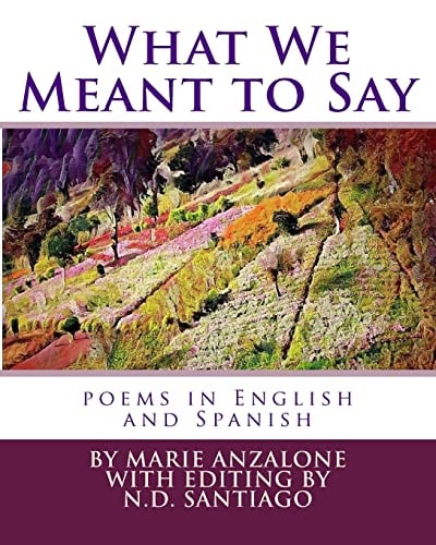 What We Meant to Say Poems in English and Spanish