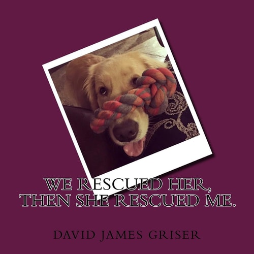 We Rescued Her, Then She Rescued Me A Story about Kona, a Golden Retriever Puppy Who Was Rescued and Given to a Family with Two Boys. How She Finally Found Her Person. This Is a Story of How She Changed One Boy's Life Forever