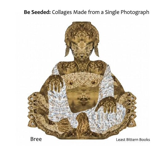 Be Seeded Collages Made from a Single Photograph
