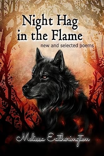 Night Hag in the Flame New and Selected Poems