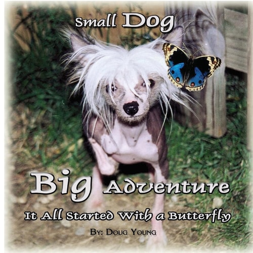 Small Dog - Big Adventure It All Started with a Butterfly