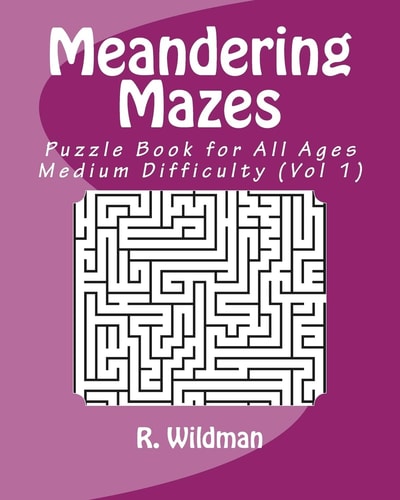 Meandering Mazes Puzzle Books for All Ages - Medium Difficulty