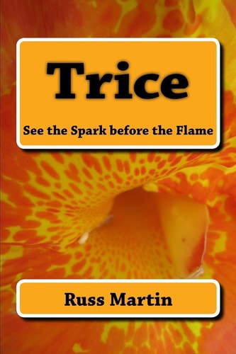 Trice See the Spark Before the Flame: See the Spark Before the Flame