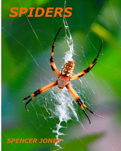 Spiders Fun Facts and Amazing Pictures - Learn about Snakes