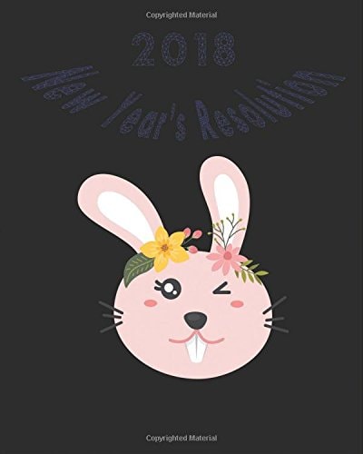 2018 New Year's Resolution