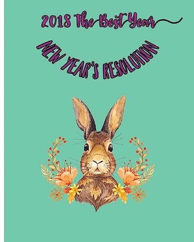 2018 The Best Year New Year's Resolution