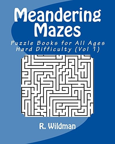 Meandering Mazes Puzzle Books for All Ages - Hard Difficulty