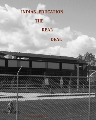 Indian Education The Real Deal