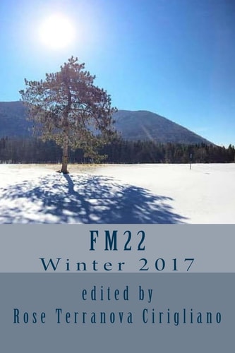 Fm22 Winter 2017