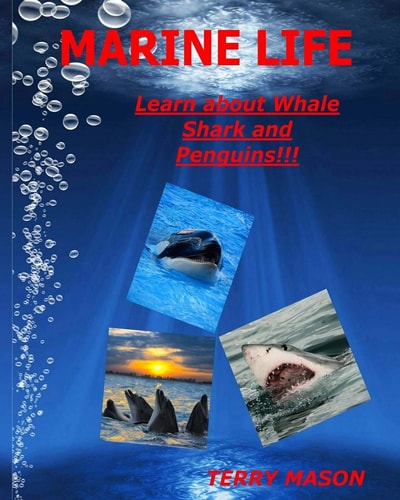 Marine Life Learn about Whale, Shark and Penguins