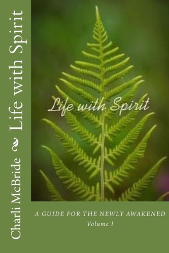 Life with Spirit A Guide for the Newly Awakened