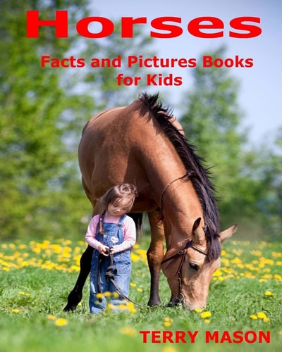 Horses Horses: Facts and Pictures Books for Kids