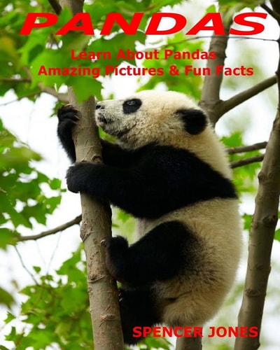 Pandas Learn about Pandas Amazing Pictures and Fun Facts