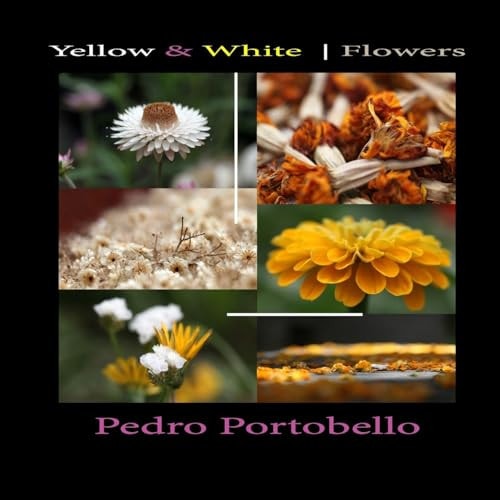 Yellow and White - Flowers Photo Album