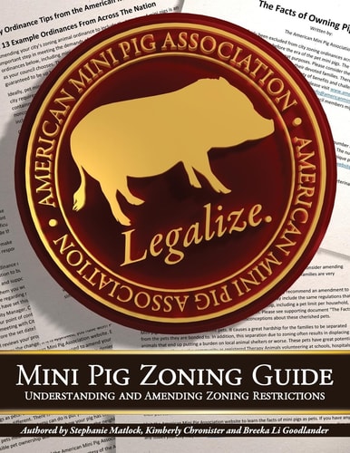 Mini Pig Zoning Guide Understanding and Amending Zoning Restrictions