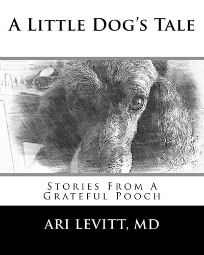 A Little Dog's Tale Stories From A Grateful Pooch