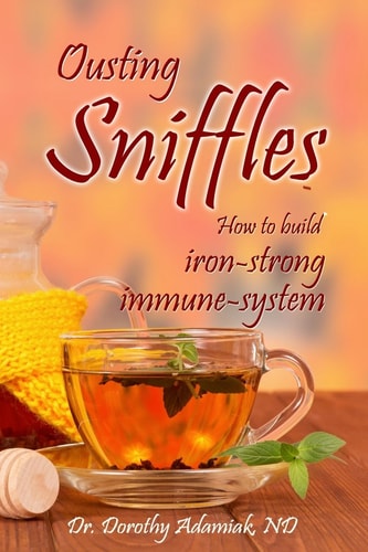 Ousting Sniffles How to Build Iron-Strong Immune System