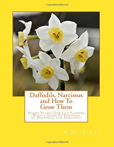 Daffodils, Narcissus and How To Grow Them Hardy Plants For Cut Flowers With a Guide To Varieties of Daffodils and Narcissus