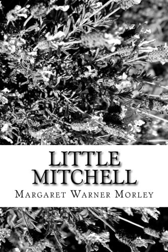 Little Mitchell