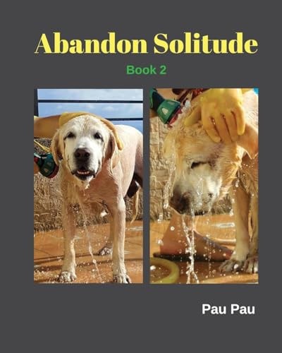 Abandon Solitude Book 2 Abandon Solitude Love