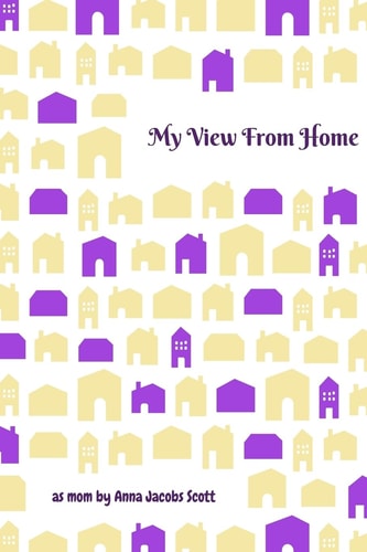 My View From Home Reflections as a New Mom Including Why and How I Homeschooled My Children