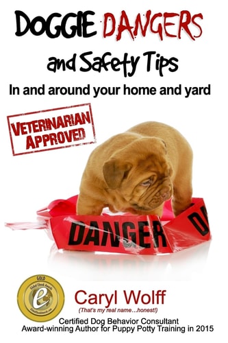 Doggie Dangers and Safety Tips Preventing Accidents In and Around Your Home and Yard