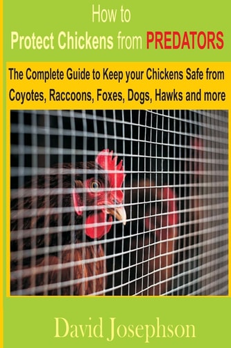 How to Protect Chickens from Predators The Complete Guide to Keep Your Chickens Safe from Coyotes, Raccoons, Foxes, Dogs, Hawks and More
