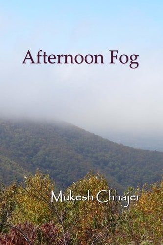 Afternoon Fog
