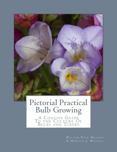 Pictorial Practical Bulb Growing A Concise Guide To the Culture Of Bulbs and Tubers