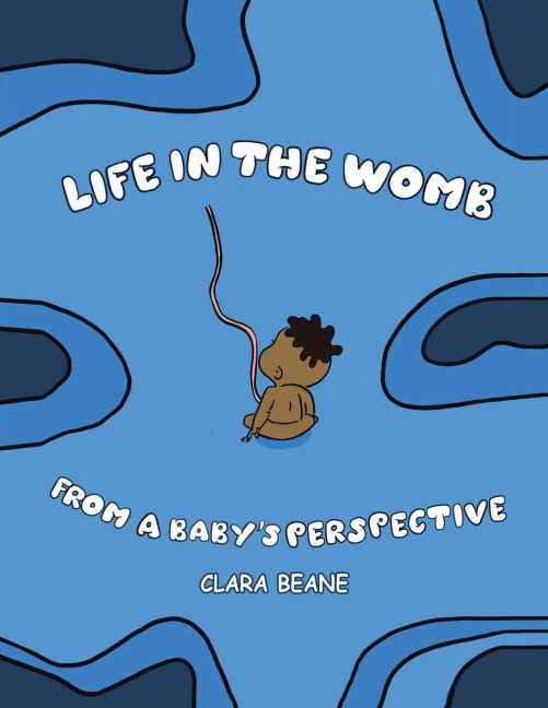 Life in the Womb from a Babys Perspective