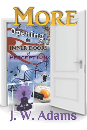 More Opening the Inner Doors of Perception
