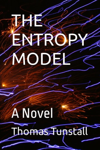 The Entropy Model