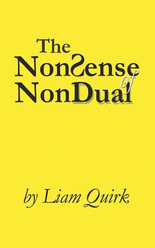 The NonSense of NonDual From Mindfulness to Oneness