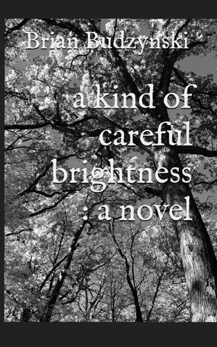 A Kind of Careful Brightness : a Novel
