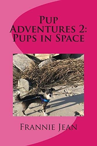 Pup Adventures 2 Pups in Space