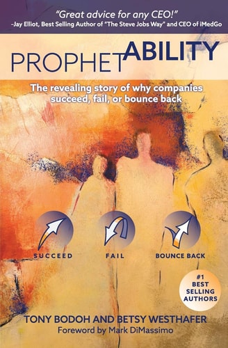 ProphetAbility The Revealing Story of Why Companies Succeed, Fail and Bounce Back